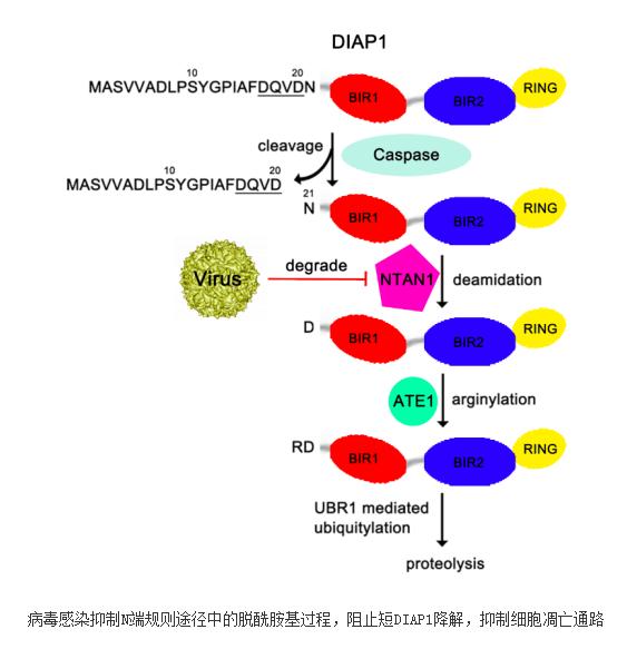 亚洲十大信誉网赌网址